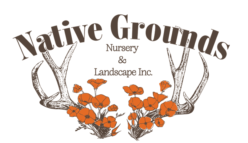 Native Grounds Nursery