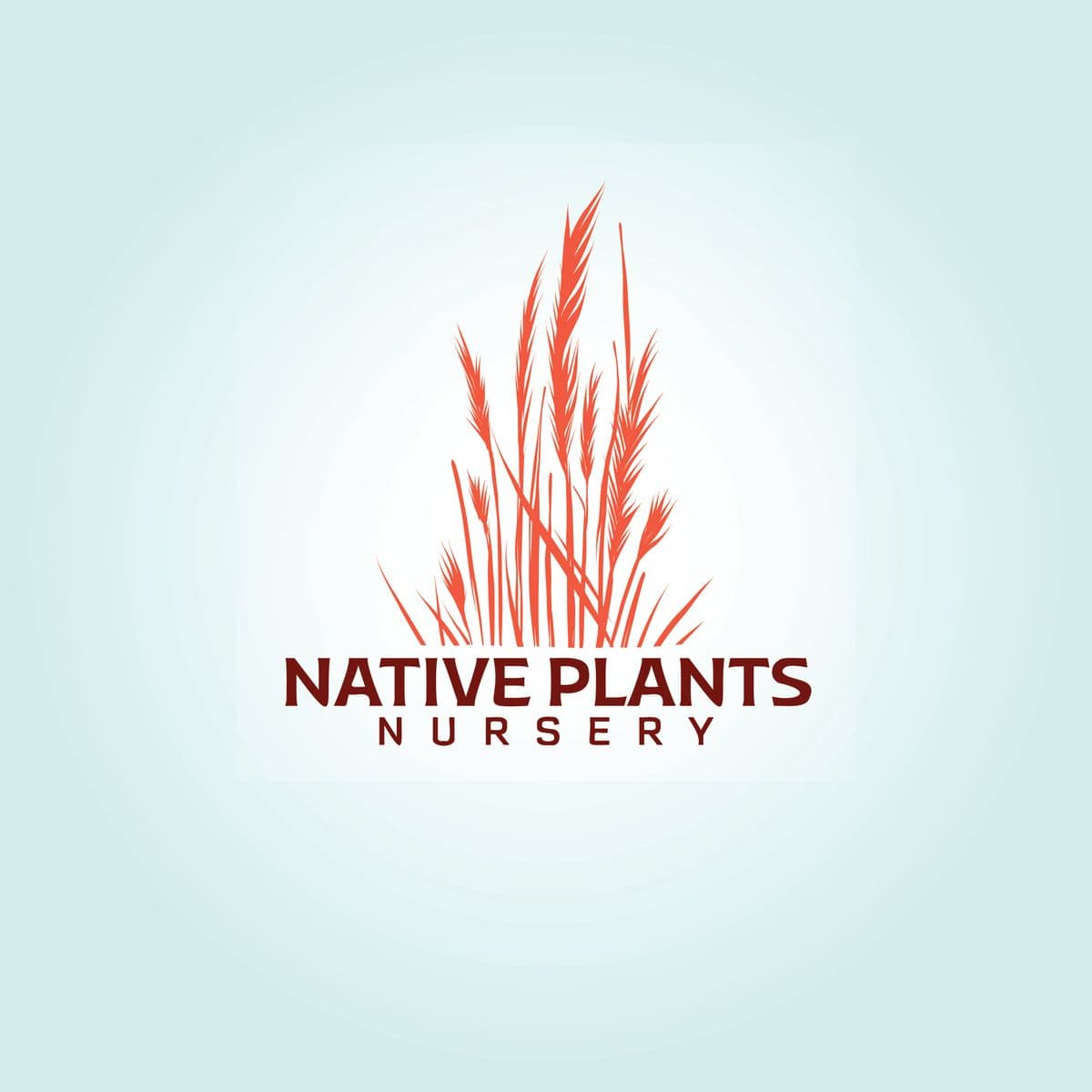 Native Plants