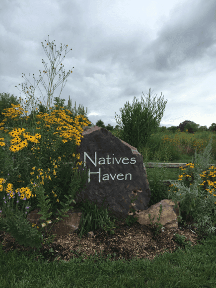 Natives Haven Native Wildflower Nursery