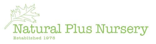 Natural Plus Nursery