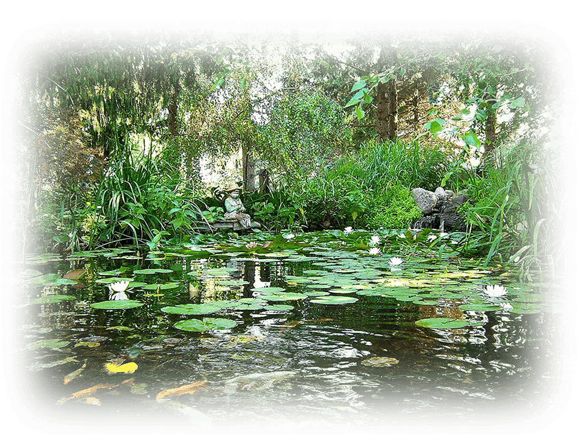 Natural Water Gardens