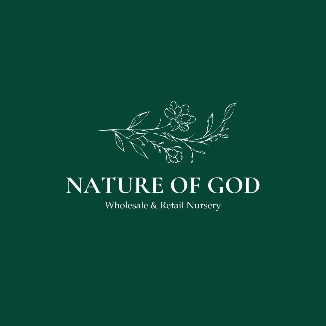 Nature Of God Nursery
