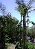 Nature's Best Tree Farm & Nursery