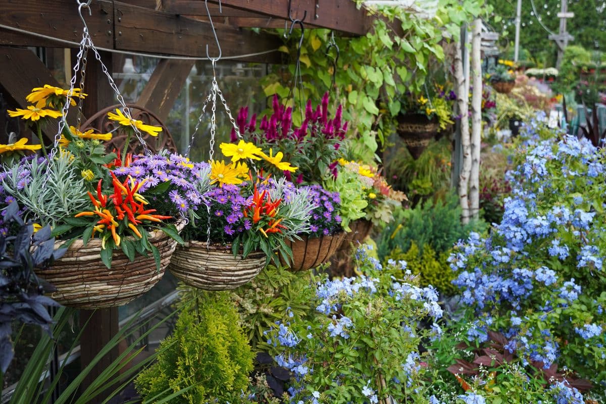 Nature’s Cradle Nursery & Landscape Design