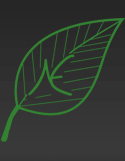 Nature's Enhancement Inc