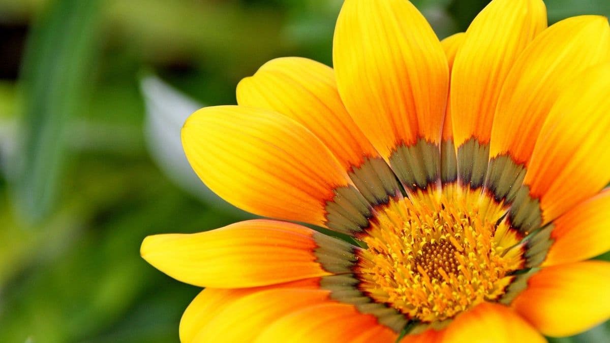 Nature's Wellspring