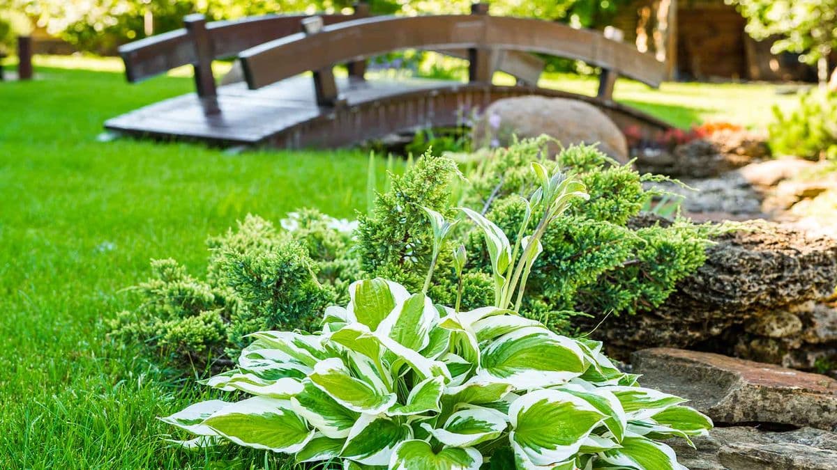 Naturescape LLC
