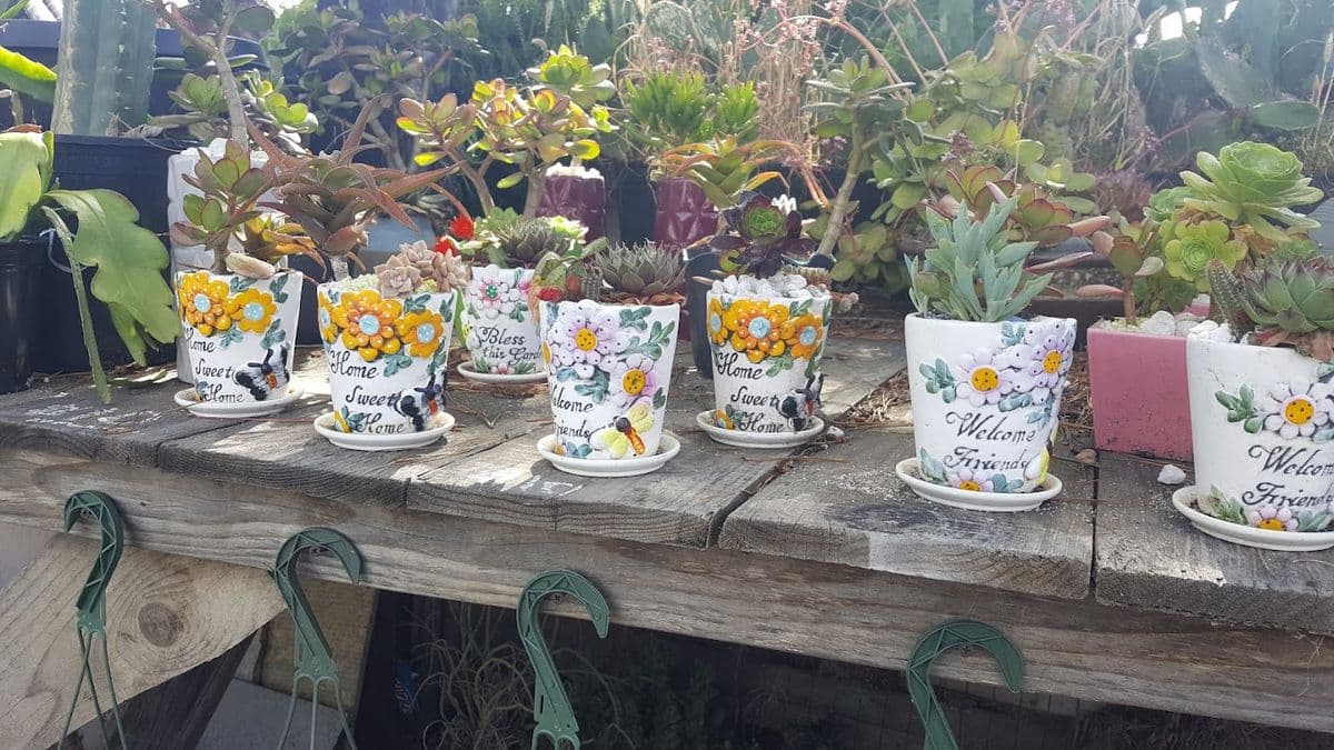 Navarro's Mixed Nursery & General Landscape Design