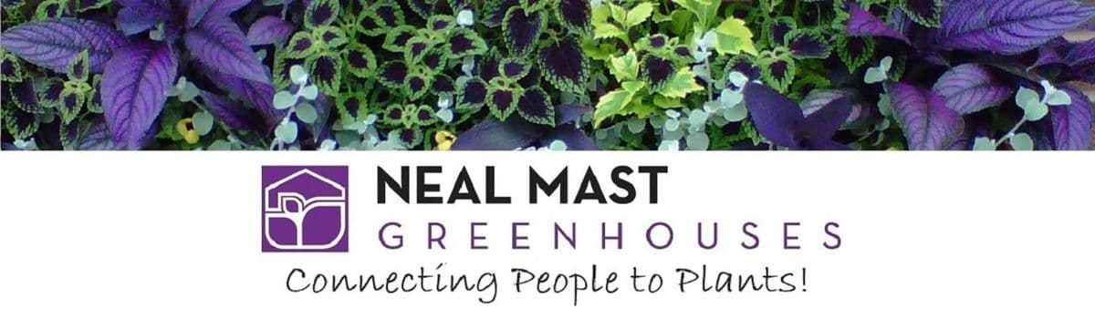 Neal Mast & Son Inc Greenhouse