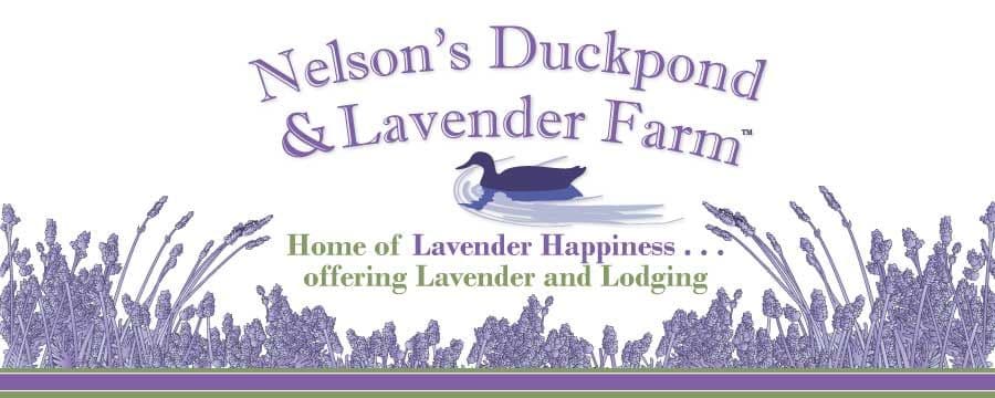 Nelson's Duckpond & Lavender Farm