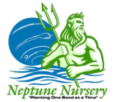 Neptune Nursery