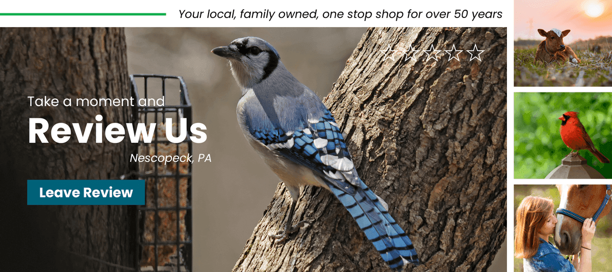 Nescopeck Agway