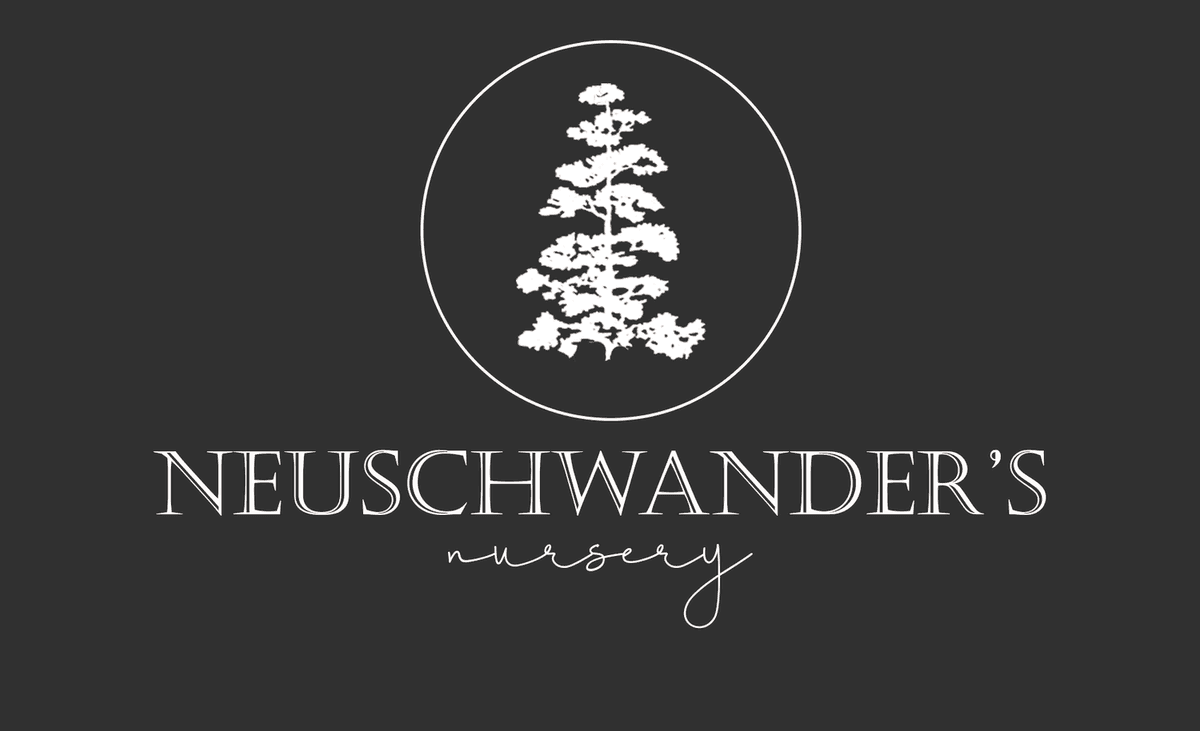 Neuschwander's Nursery