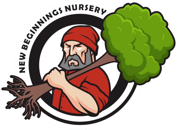 New Beginnings Nursery