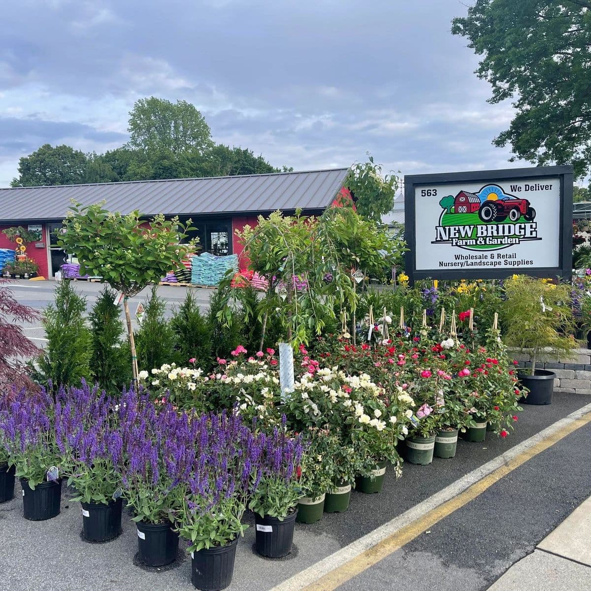 New Bridge Farm & Garden
