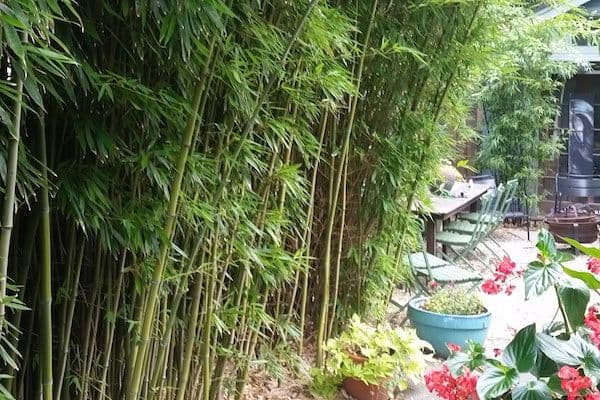 New Jersey Bamboo Landscaping LLC