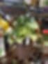 New Leaf Landscape Garden Center