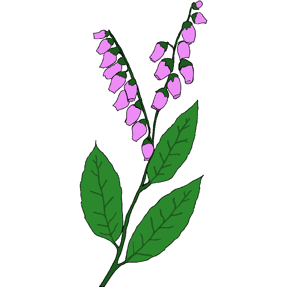 New Life Nursery, Inc.