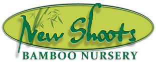 New Shoots Bamboo Nursery