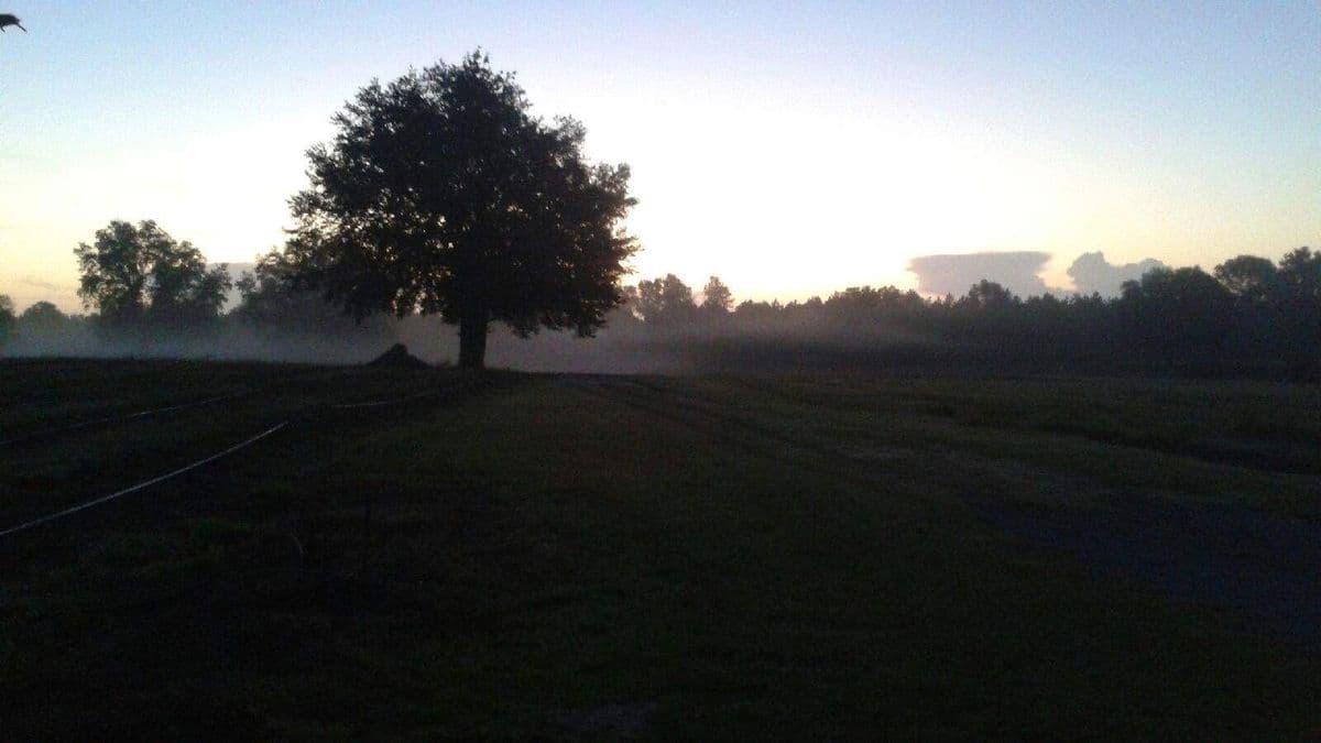Newberry Farms