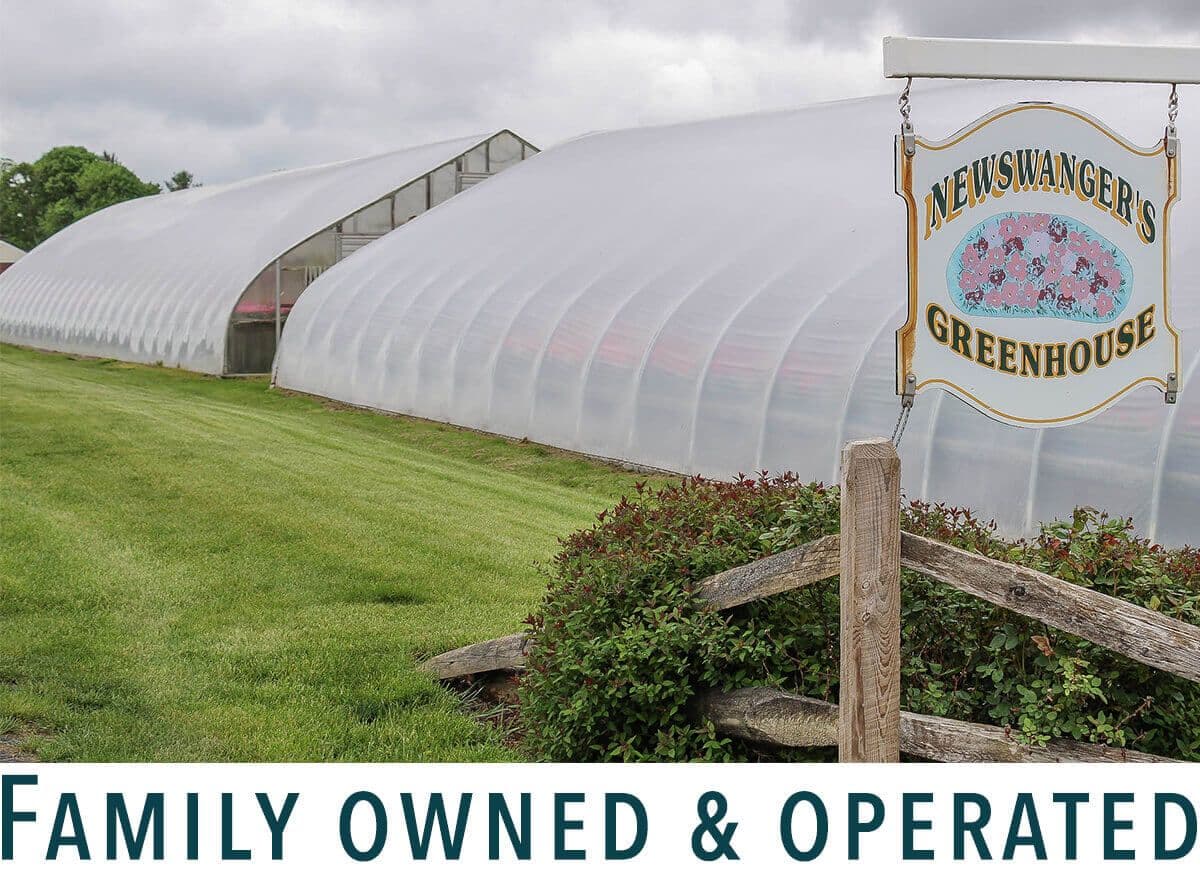Newswanger’s Greenhouse
