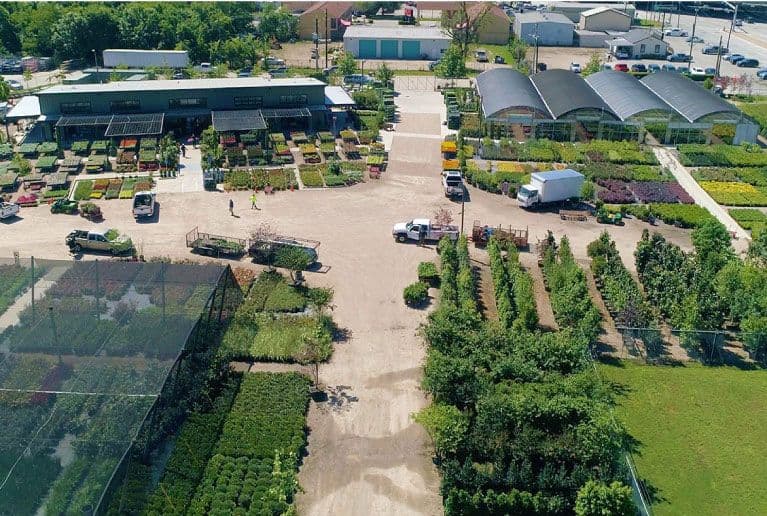 Newton Nurseries - Austin