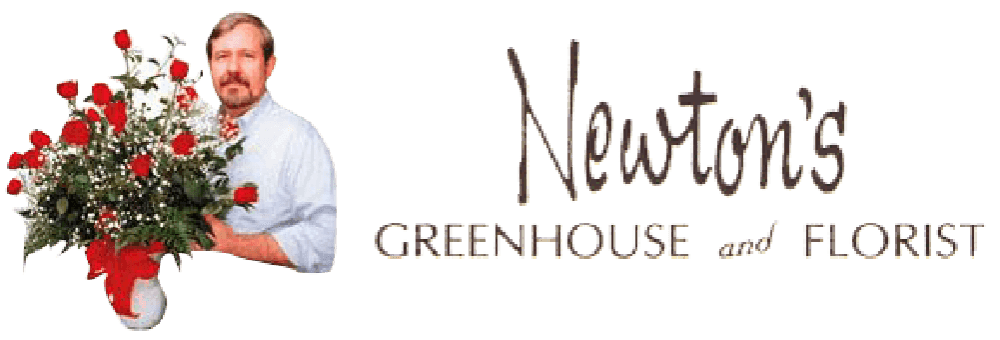Newton's Greenhouse and Florist