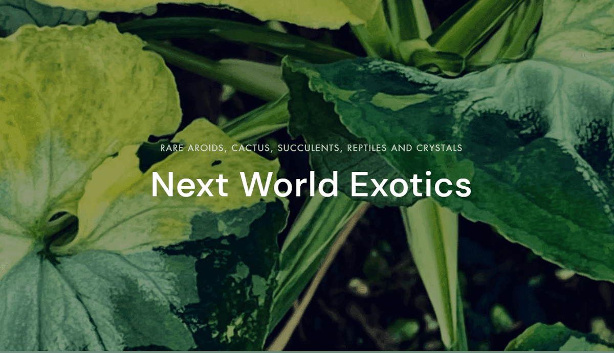 Next World Exotics