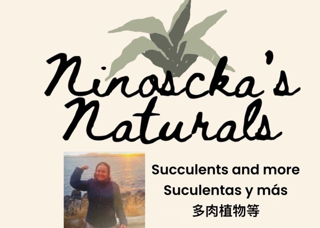 Ninoscka’s Naturals