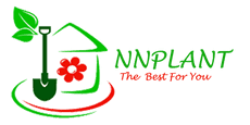 Nnplant