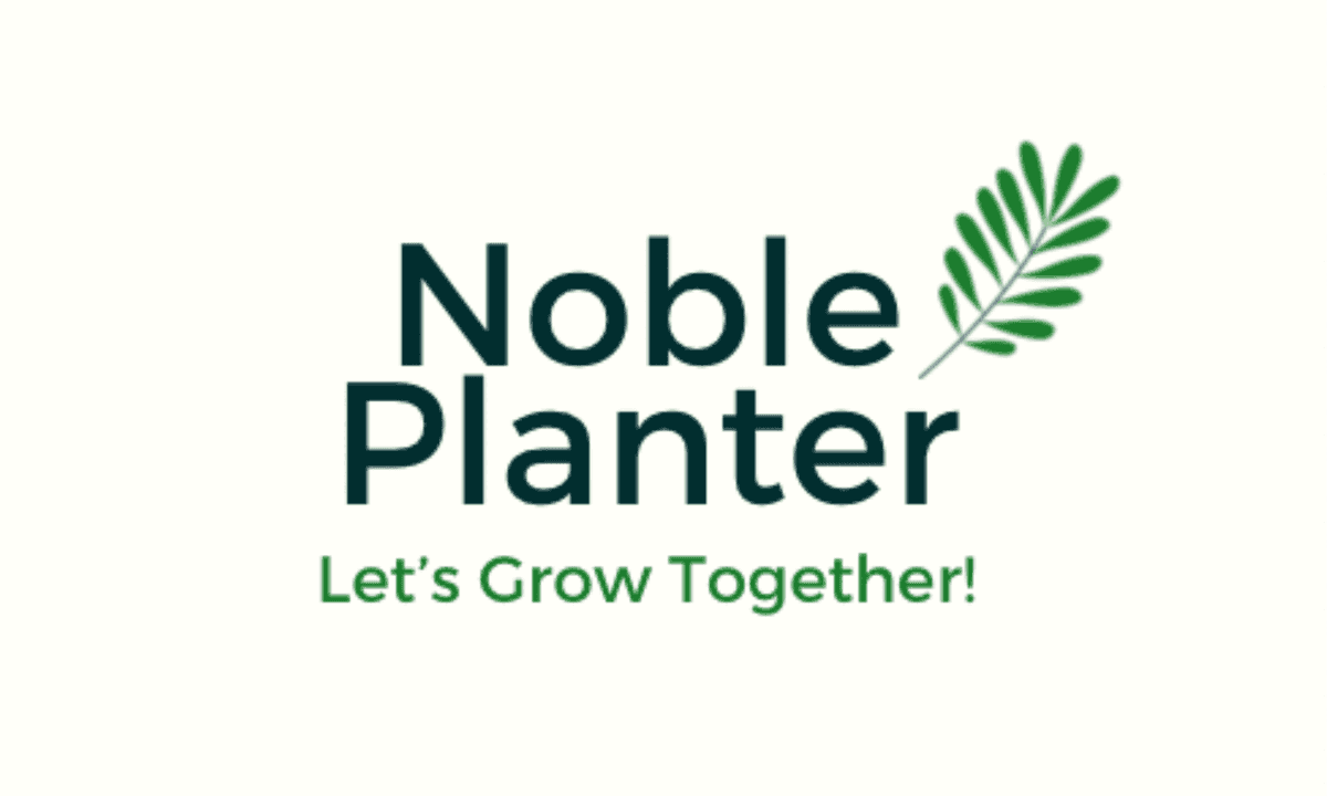 Noble Planter