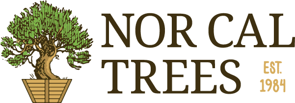 Nor Cal Trees