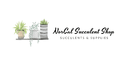 NorCal Succulent Shop