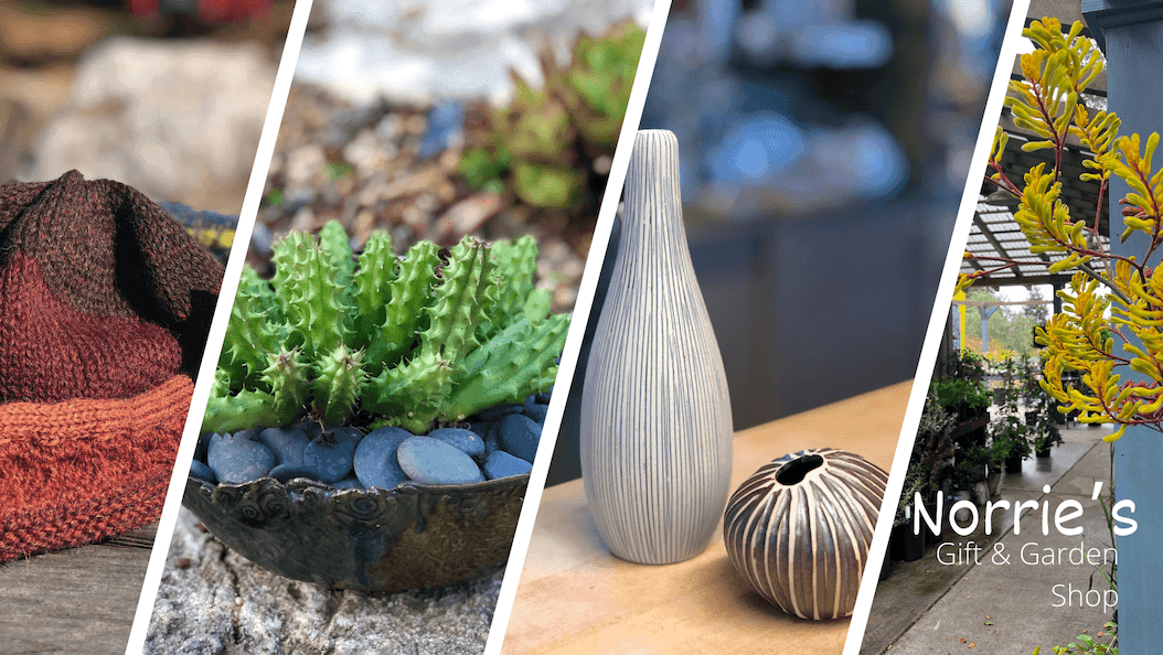 Norrie's Gift & Garden Shop at the UC Santa Cruz Arboretum & Botanic Garden
