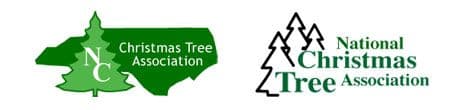 North Carolina Fraser Fir Wholesaler