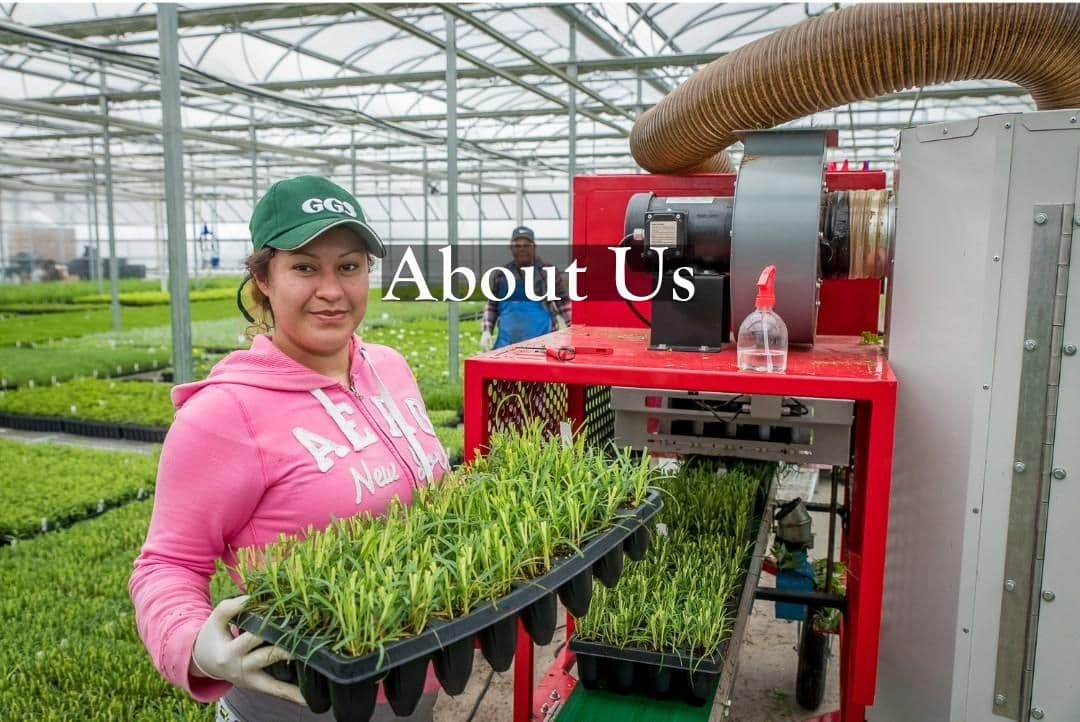 North Creek Nurseries - Customer Pickup & Shipping Facility