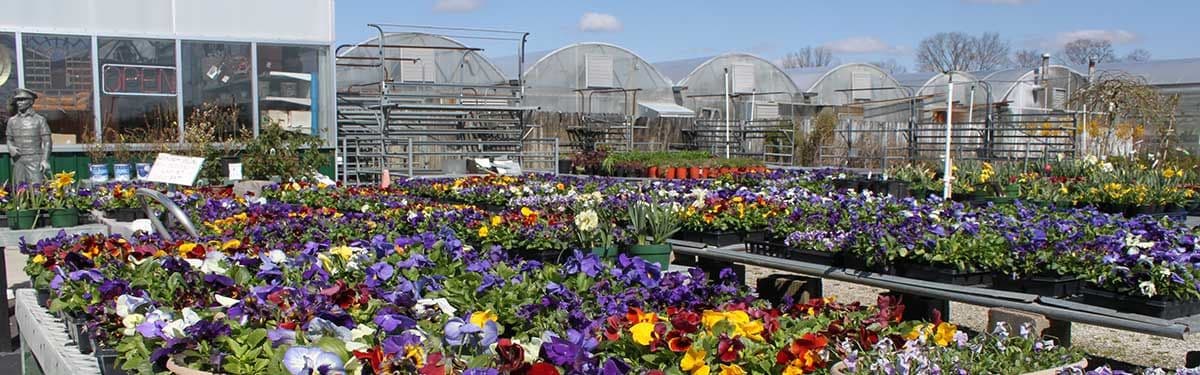 North Dayton Garden Center & Nursery