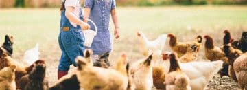 North Haverhill Agway