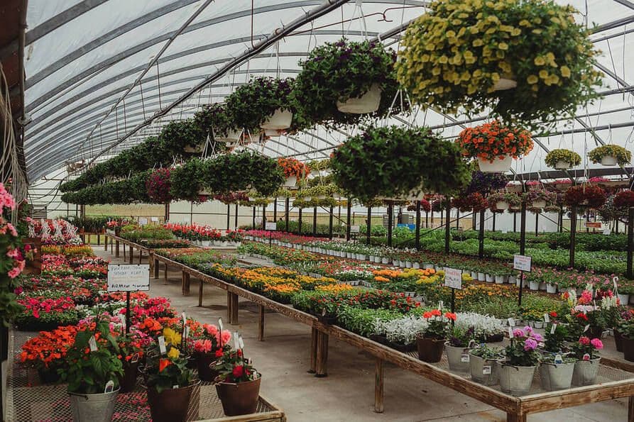 North River Plants & Produce - Greenhouse Business