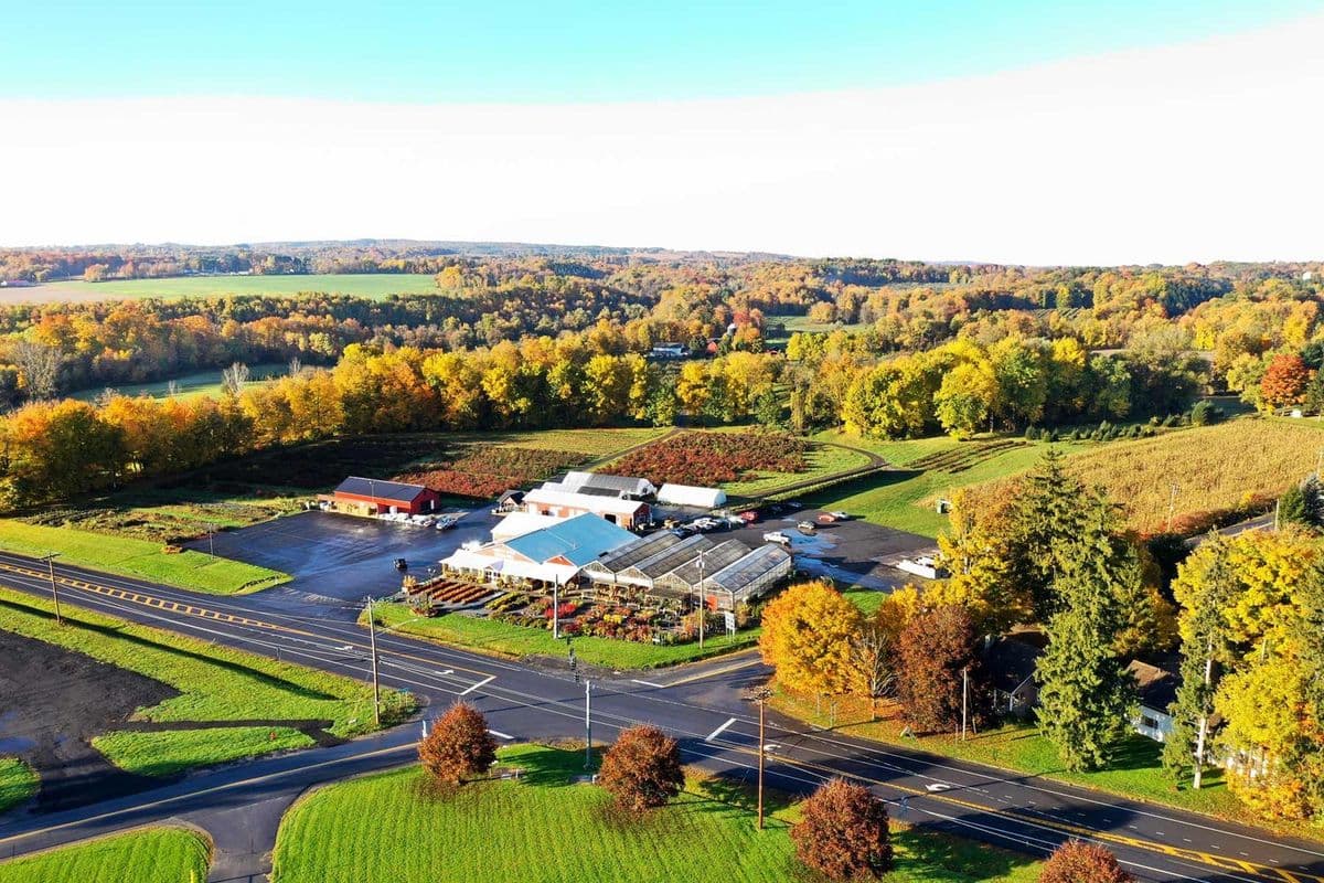 North Star Orchards