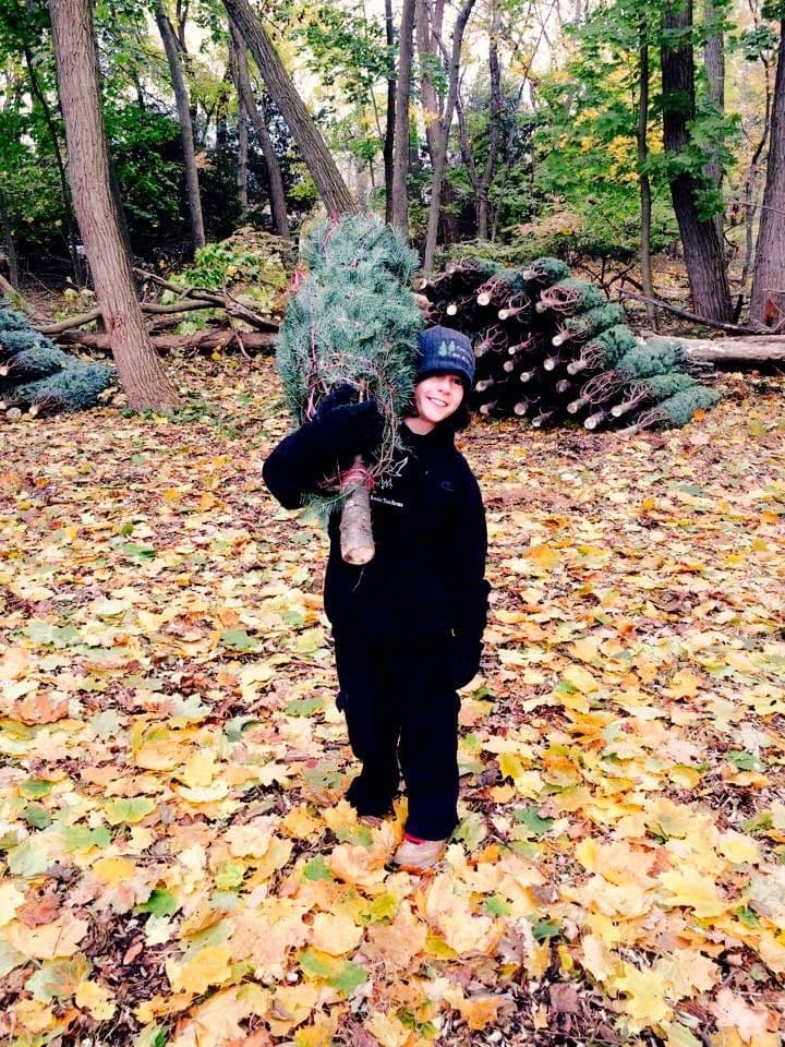 Northern Border Tree Farms
