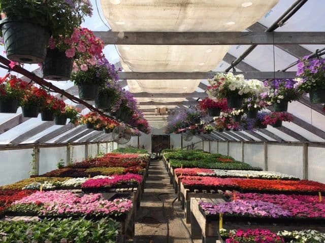 Northern Dutchess Botanical Gardens