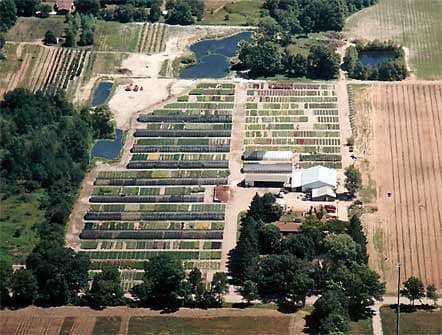 Northfield Farms Inc