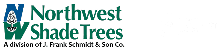 Northwest Shade Trees
