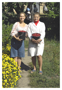 Northwoods Nursery