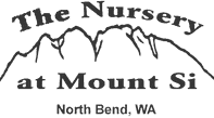 Nursery at Mount Si