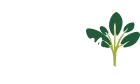 Nursery Beautiful Plants Gilroy