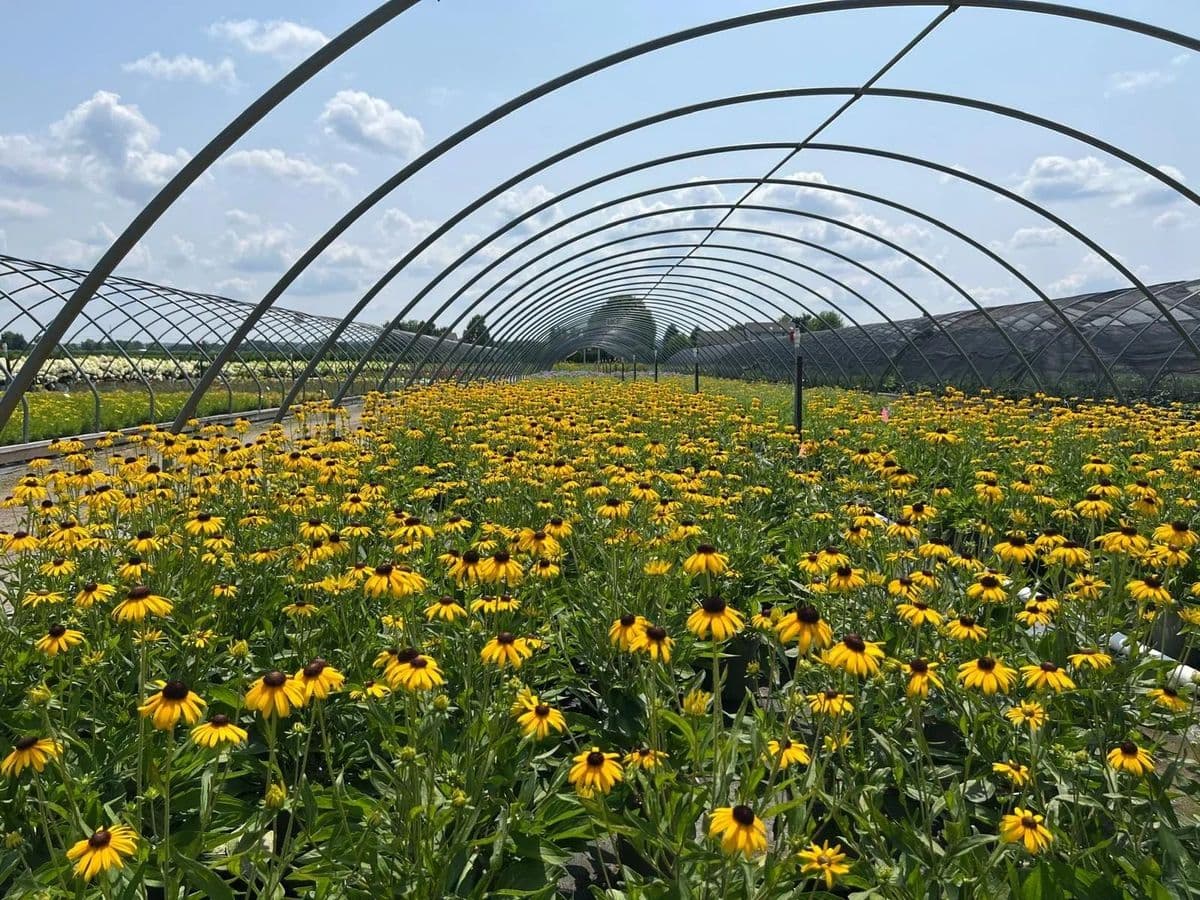 Nursery Resources LLC.