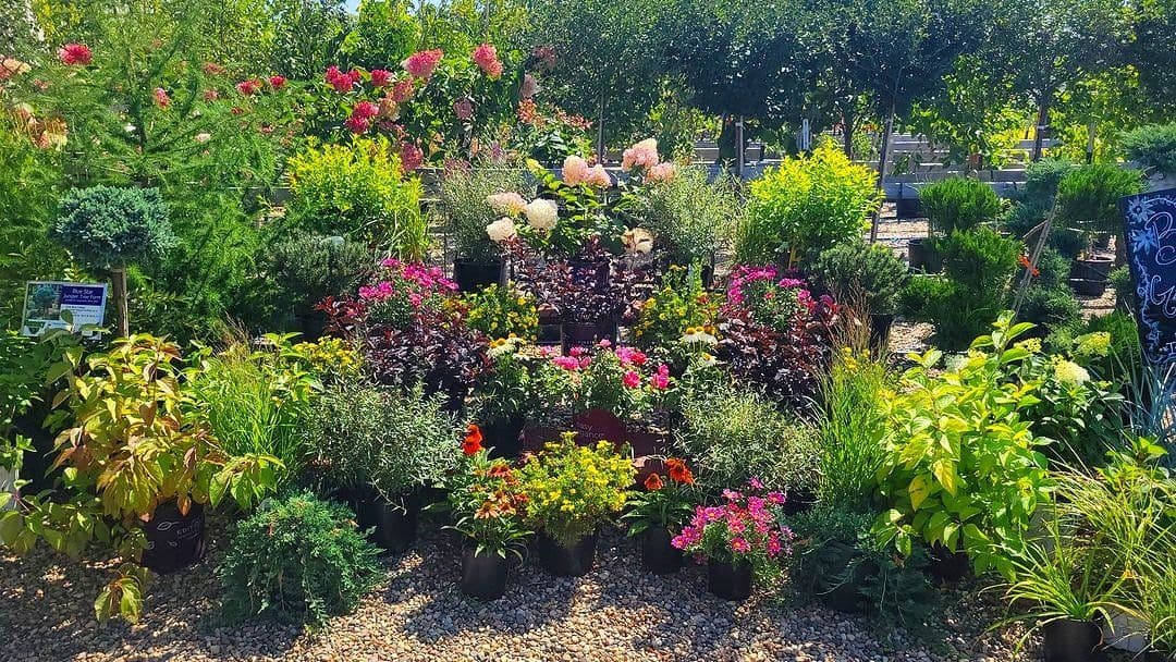 Nursery Wholesalers