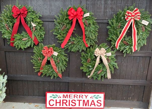 Nutbrown's Christmas Tree Farm